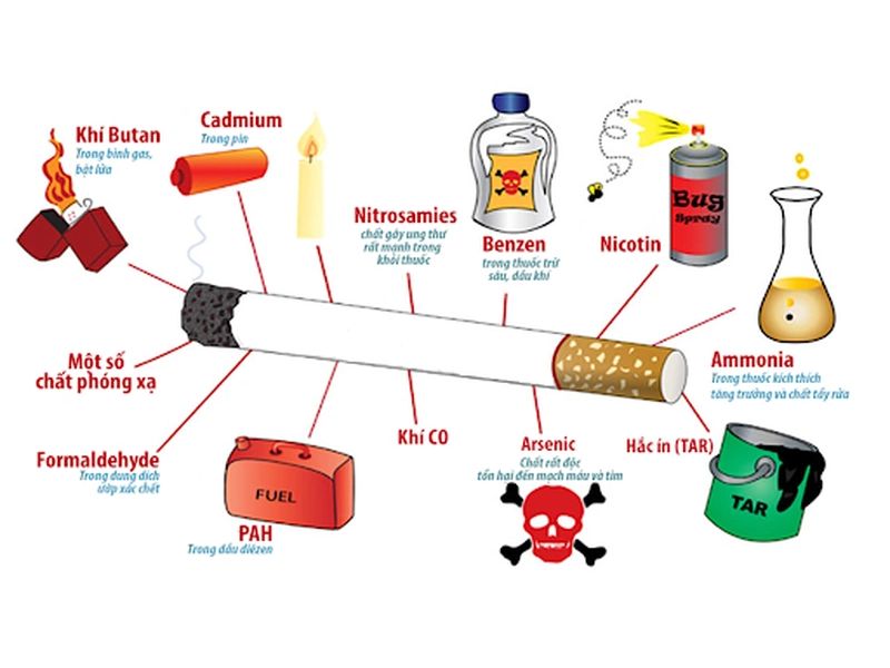 Những thành phần độc hại gây ra dị ứng thuốc lá