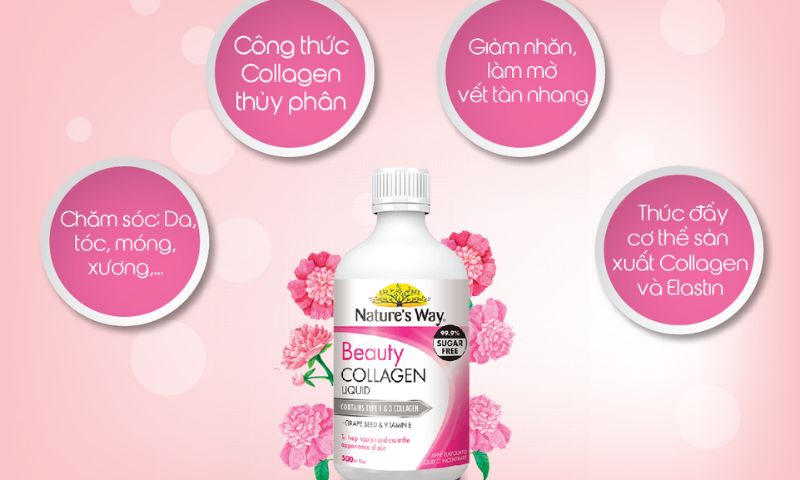 Dòng collagen thuỷ phân được yêu thích nhất