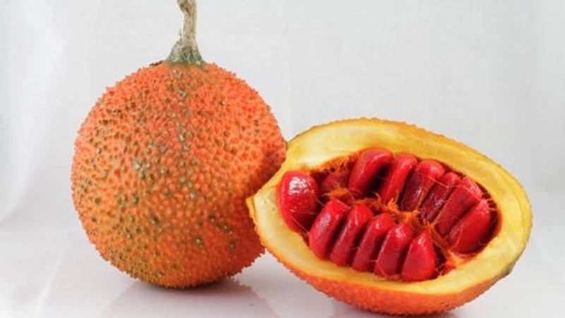 Hạt gấc chữa bệnh quai bị cực kì hiệu quả