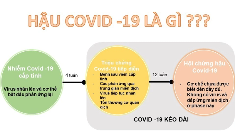 Chụp X-quang và siêu âm giúp đánh giá hình ảnh