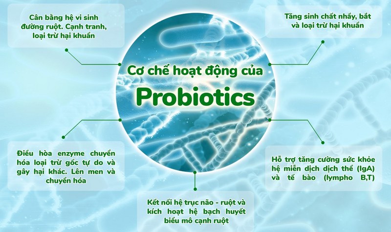 Tìm hiểu thông tin về hệ vi sinh đường ruột