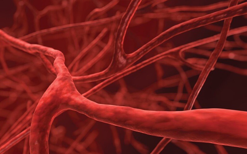 Bệnh Hemophilia B hình thành do thiếu hụt yếu tố đông máu trong cơ thể
