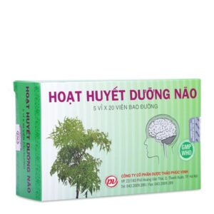 Hoạt Huyết Dưỡng Não- Phòng & trị suy giảm trí nhớ, nhũn não