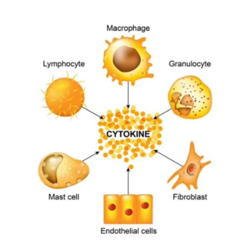 Việc hiểu rõ về hội chứng bão Cytokine