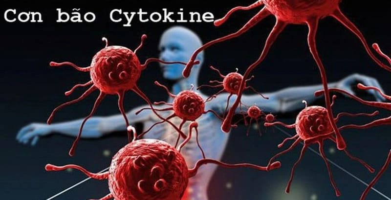 Các triệu chứng của cơn bão Cytokine có thể rất đa dạng