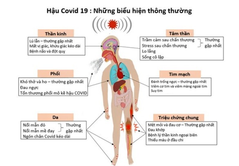 Các vấn đề về thần kinh và tâm lý