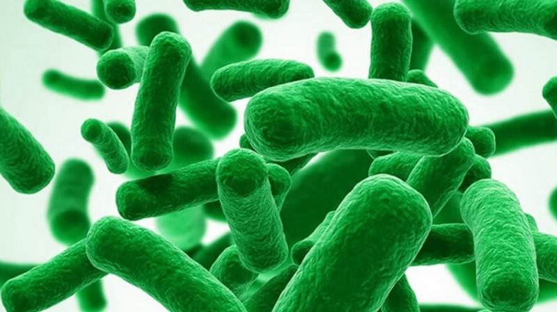 Trước khi dùng Bifidobacterium bạn cần lưu ý những điều sau