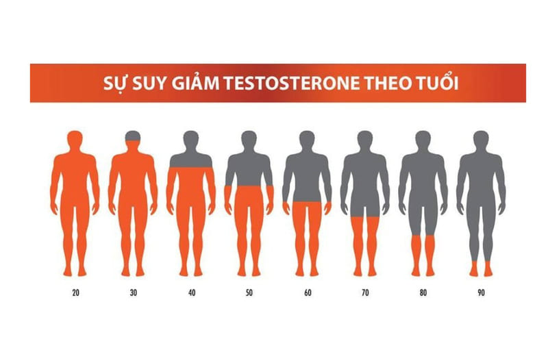 Testosterone là hormone quan trọng đối với sức khỏe