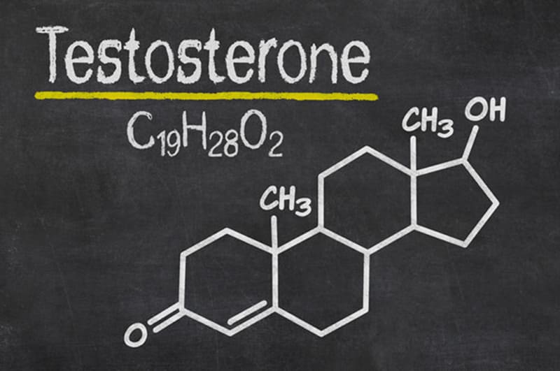 Testosterone là hormone sinh dục nam