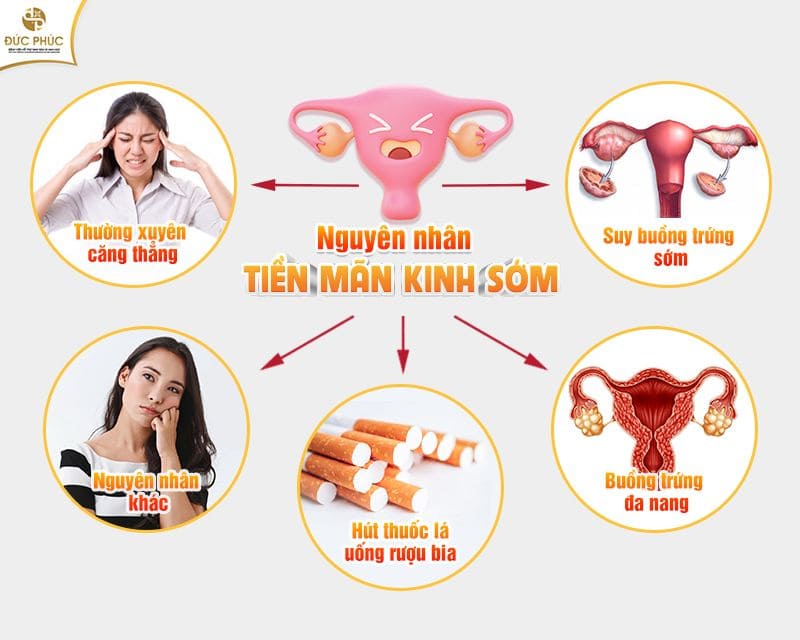 Nguyên nhân gây tiền mãn kinh