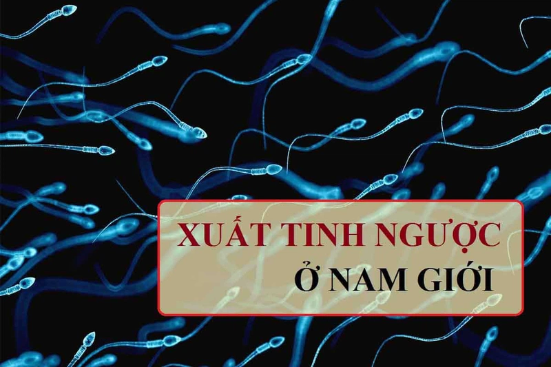 Xuất tinh ngược dòng là hiện tượng gì