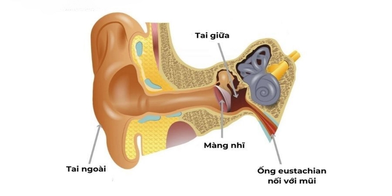 Bệnh nhân sẽ được thăm khám và chụp ảnh để xác định mức độ tổn thương