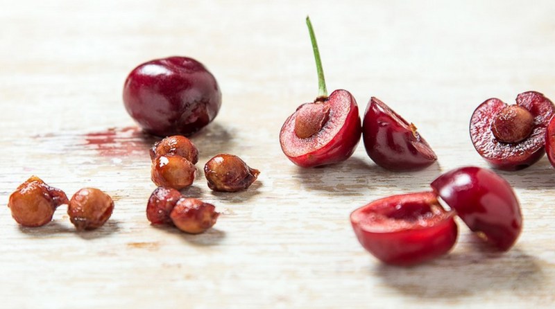 Nếu chẳng may nuốt hạt cherry vào bụng có nguy hiểm không?