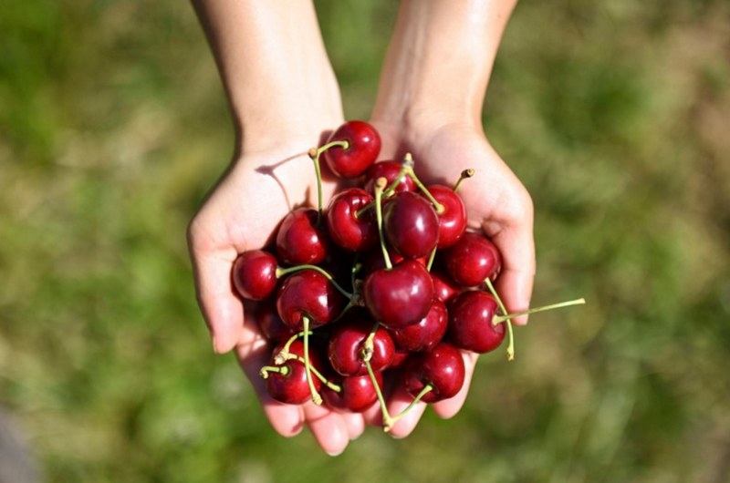 Những dưỡng chất tốt có trong trái cherry