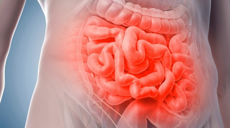 Một số những bệnh lý thường gặp ở small intestine