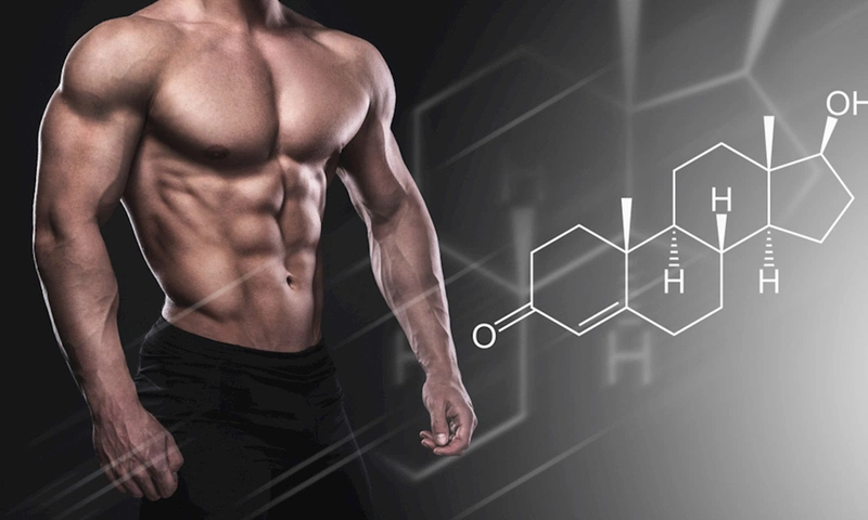 Testosterone là một hormone quan trọng trong cơ thể nam