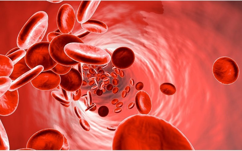 Thiếu máu ác tính là một trong những loại thiếu máu do thiếu hụt vitamin B12