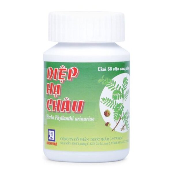 Thuốc trị các chứng viêm nhiễm Diệp Hạ Châu (60 viên/ chai)