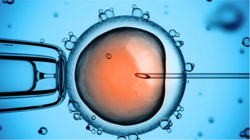 Thụ tinh ống nghiệm (IVF) là kỹ thuật hỗ trợ sinh sản