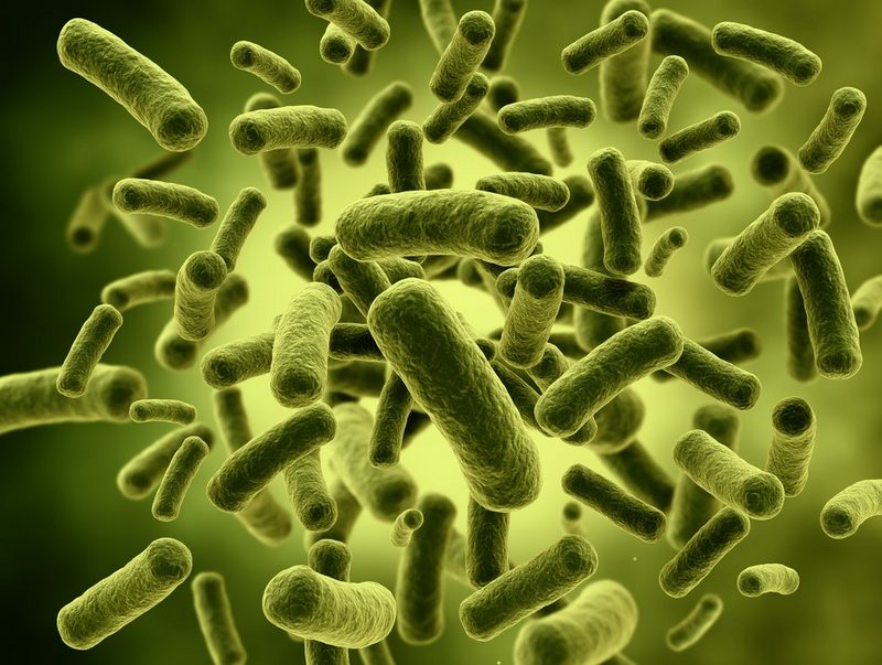 Tìm hiểu về vi khuẩn Coliform gây ô nhiễm nguồn ngước