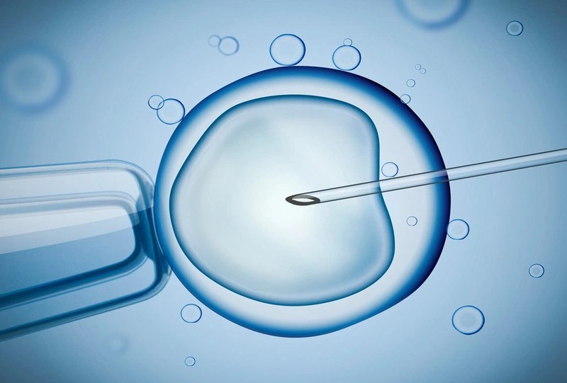 Thụ tinh trong ống nghiệm (IVF)