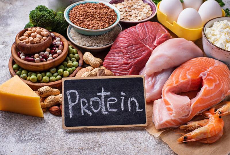 Protein là một thành phần thiết yếu giúp cơ thể tái tạo và phục hồi các mô bị tổn thương