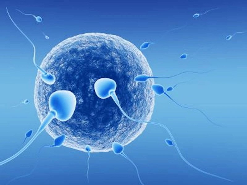 Những điều cần lưu ý khi lựa chọn IVF