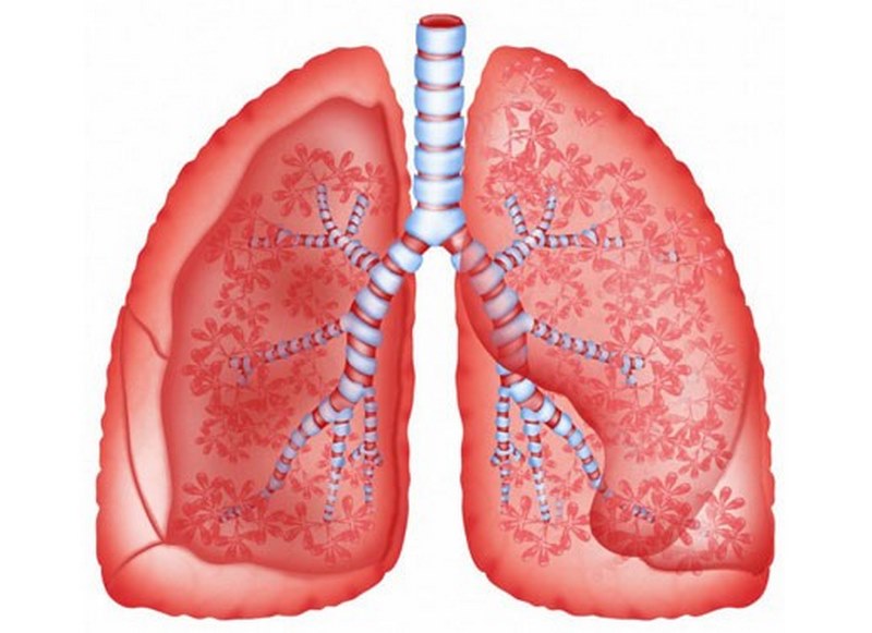 Điều trị bụi phổi bông nhằm kiểm soát triệu chứng