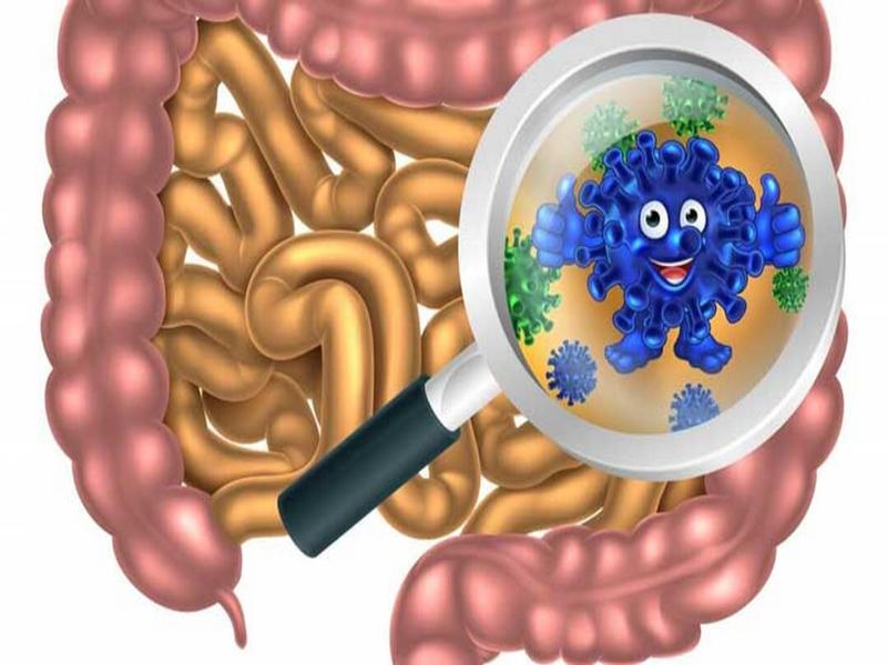 Nhiễm khuẩn là một trong những nguyên nhân phổ biến gây đi ngoài có mùi tanh