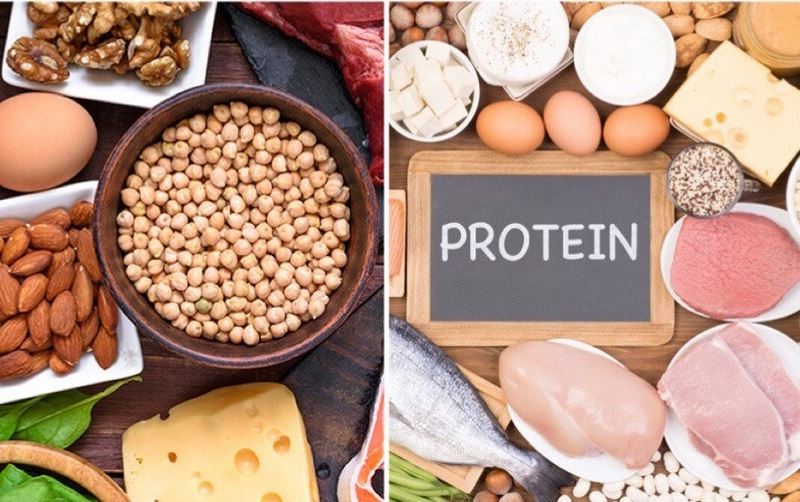 Protein giúp cơ thể phục hồi và xây dựng các tế bào mới