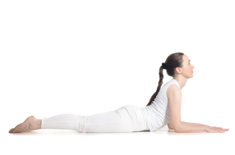 Cobra Pose, hay còn gọi là tư thế rắn hổ mang