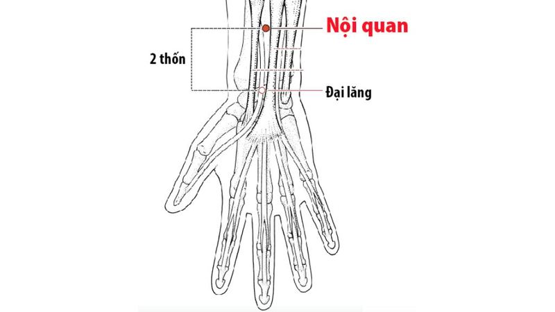 Huyệt Nội quan hỗ trợ cân bằng khí