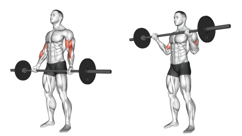 Barbell Curl là một bài tập phổ biến trong tập gym