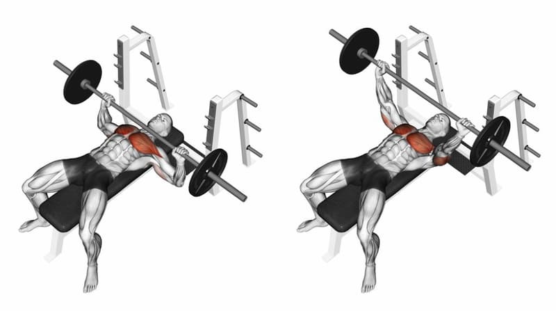 Bench Press giúp tăng cường sức mạnh tổng thể