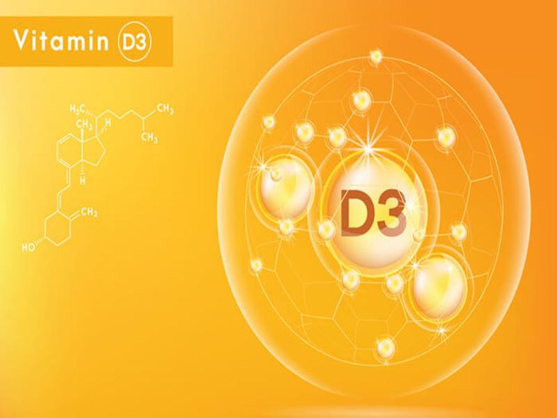 Vitamin D3 có vai trò quan trọng đối với quá trình hấp thụ canxi