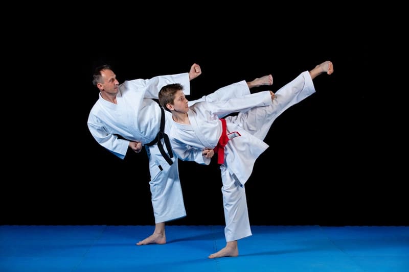 Karate là một trong những môn võ thuật nổi tiếng