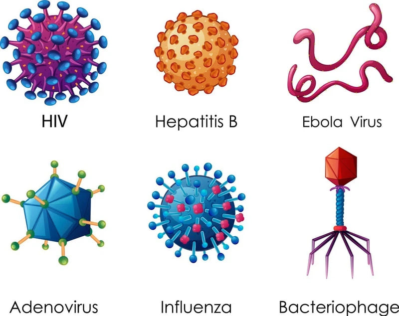 Virus là những thực thể siêu nhỏ