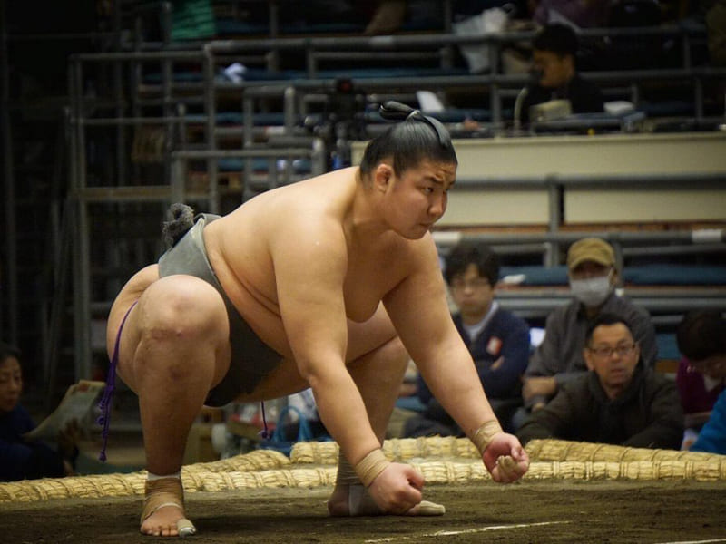 Conventional và Sumo khác nhau như thế nào?