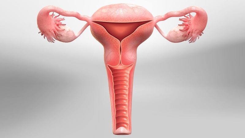 Hysterectomy là phẫu thuật cắt bỏ tử cung