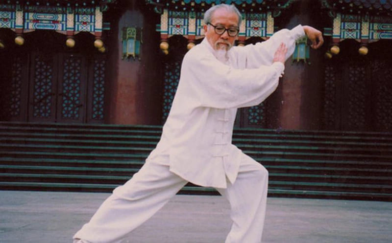 Thái cực quyền (Tai Chi) là một bộ môn võ thuật và dưỡng sinh