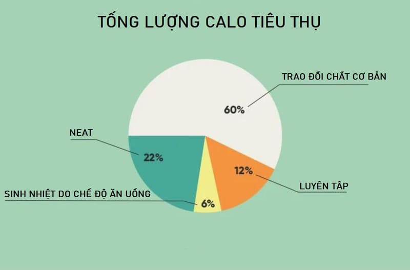 NEAT là gì? Phân biệt NEAT và các khái niệm khác