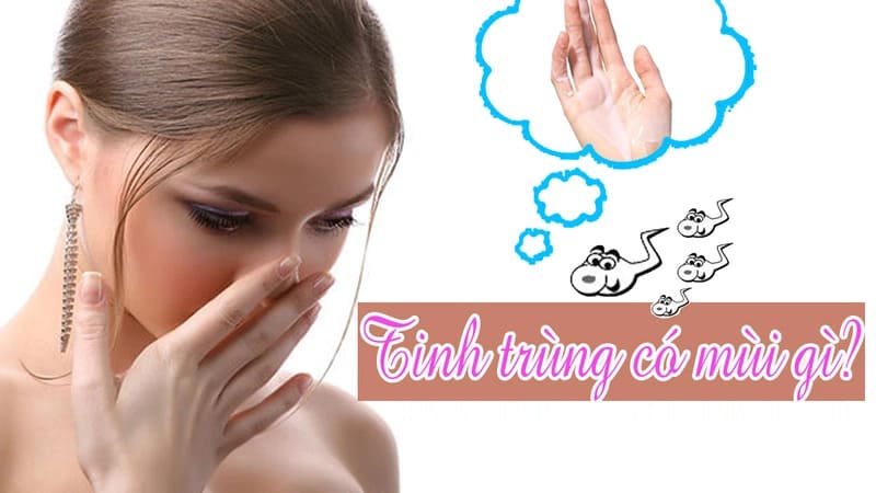 Tìm hiểu về tinh trùng thường có mùi gì?