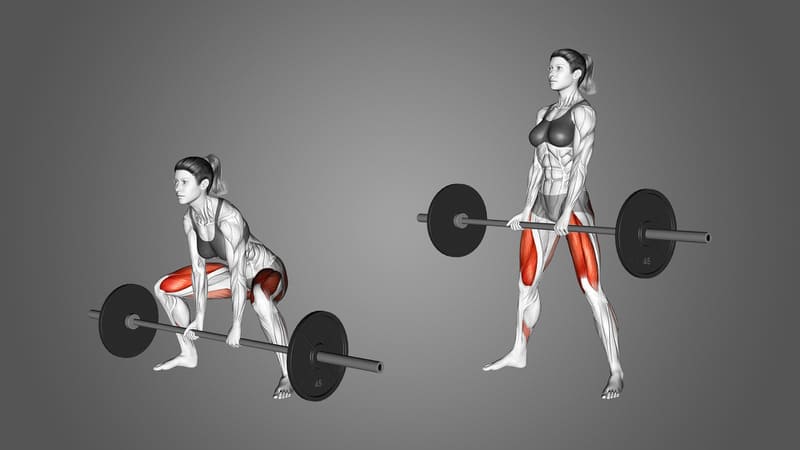 Sumo Deadlift mang lại nhiều lợi ích cho sức khỏe và thể hình