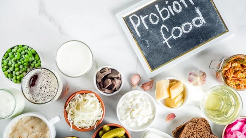 Probiotic là các vi khuẩn có lợi cho hệ tiêu hóa