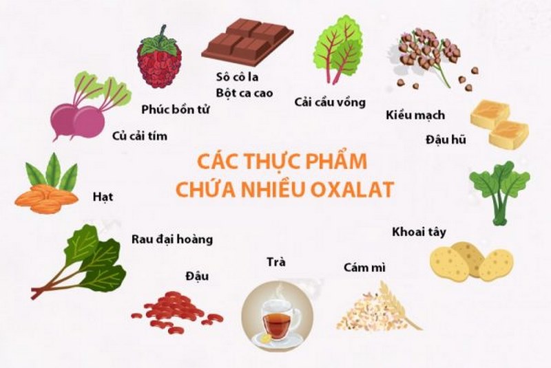 Rau củ chứa nhiều oxalat