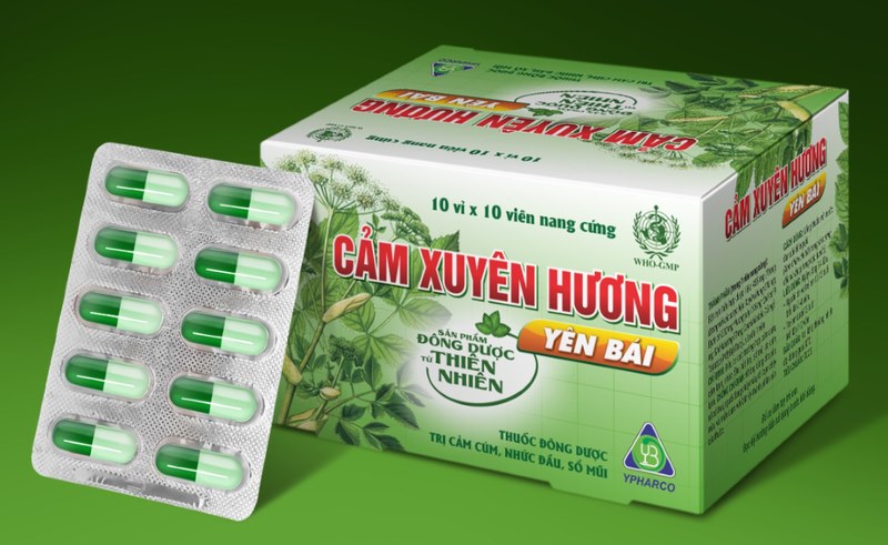 Thuốc cảm Xuyên Hương là một loại thuốc đông y