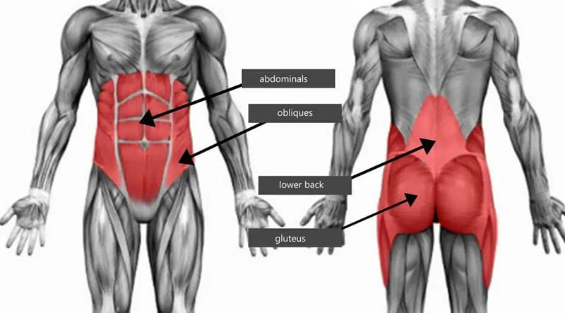 Tìm hiểu về cơ cốt lõi (core) đóng vai trò gì?