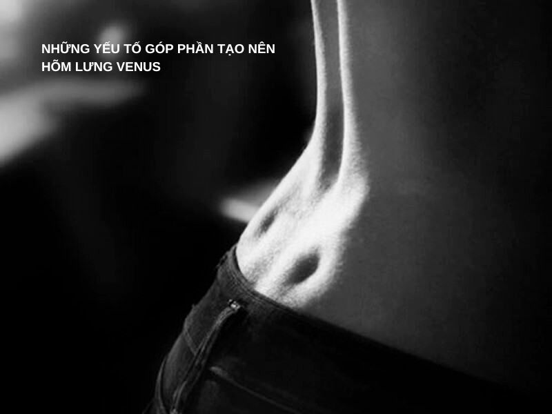 Những yếu tố góp phần tạo nên hõm lưng Venus