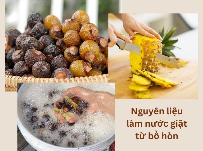 Nguyên liệu lên men enzyme (cơ sở chính)