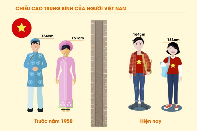 Chiều cao trung bình nam giới Việt Nam là bao nhiêu?